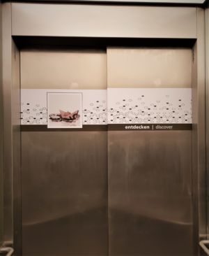 INSIDE LIFT VYNIL